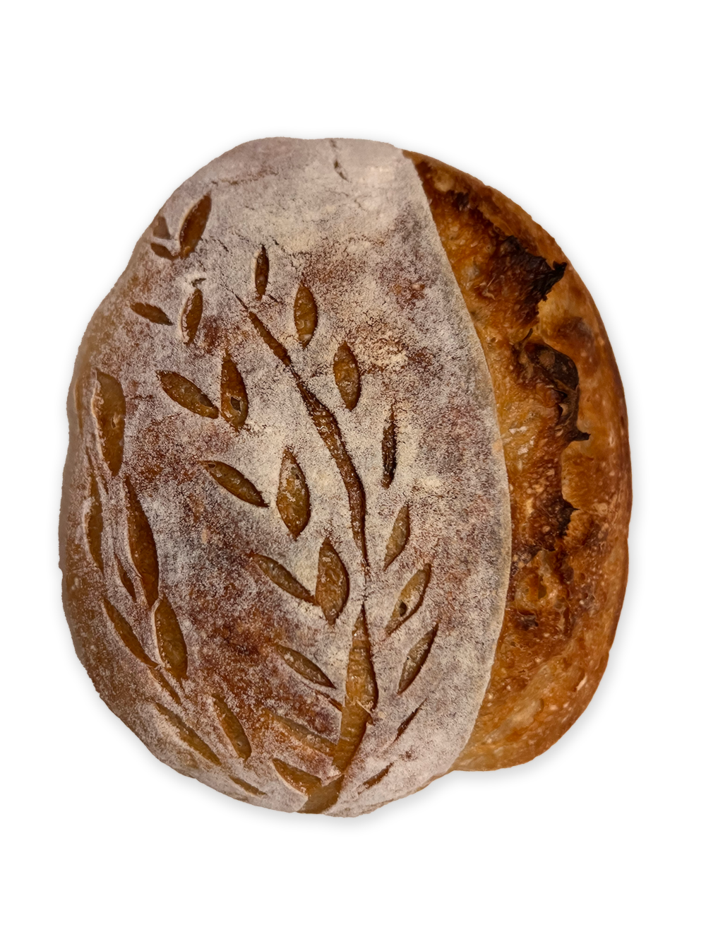 bread-center